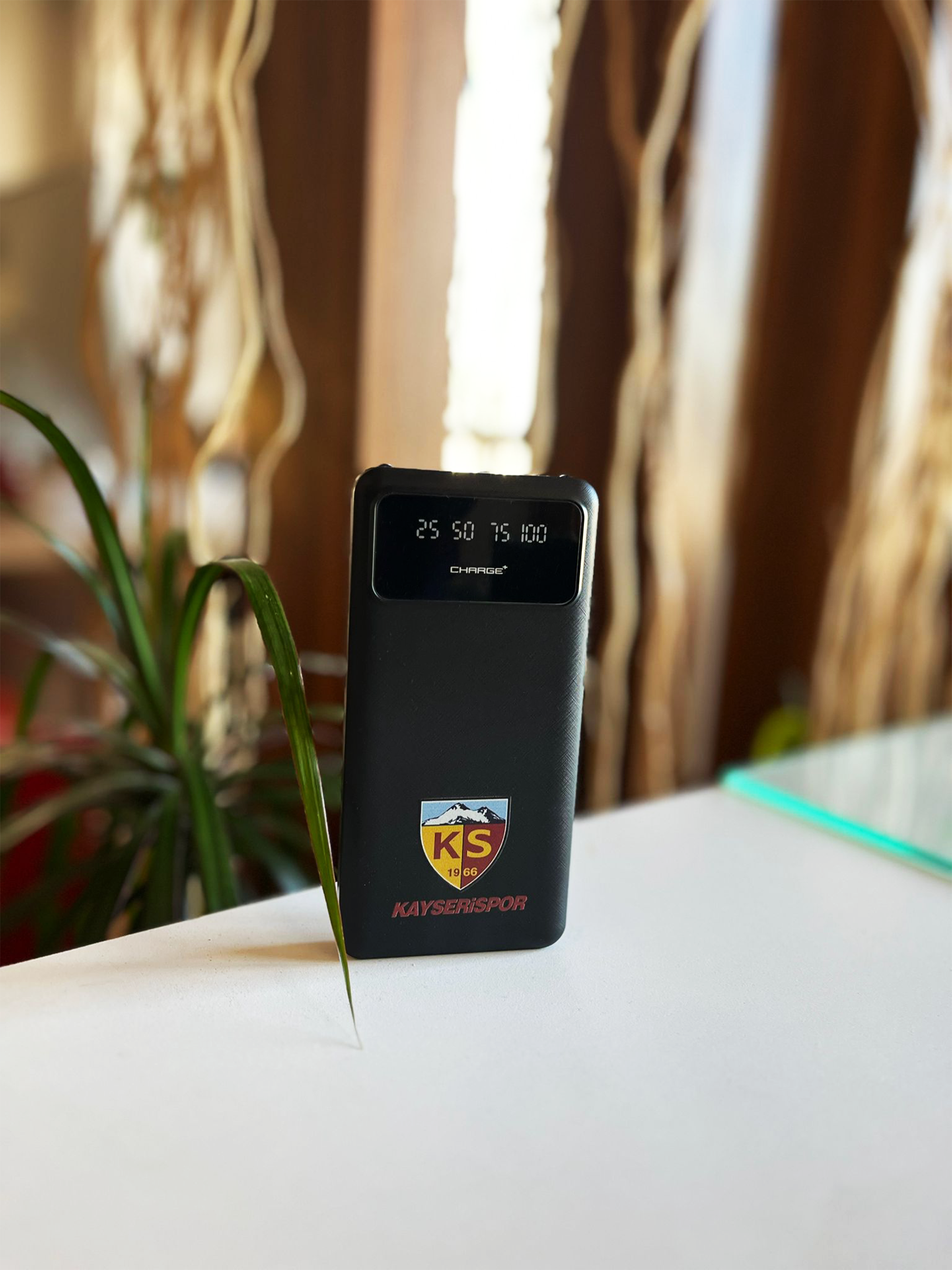 POWERBANK